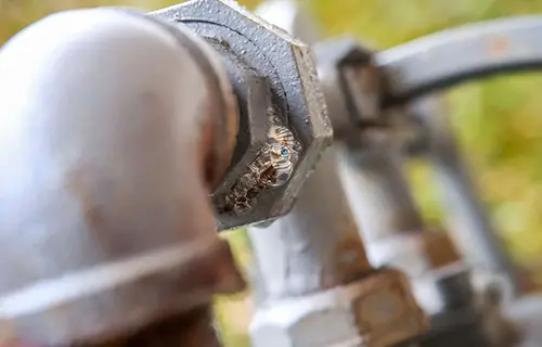 Gas Lines & Leaks